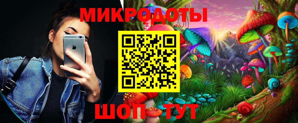 Галлюциногенные грибы Psilocybe Новочеркасск